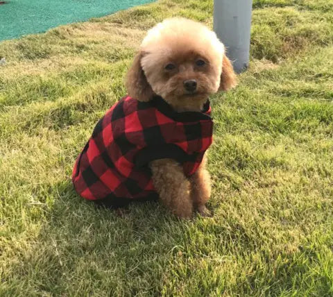 Flannel Dog Vest