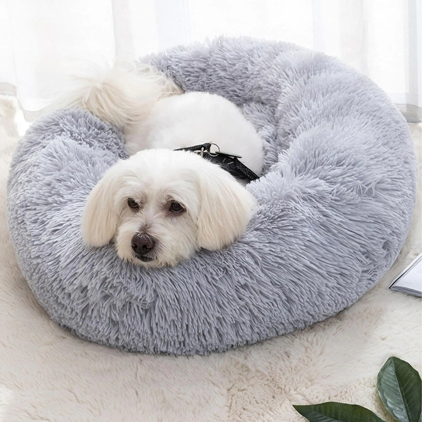 Cat And Dog Beds for Indoors Small Bed Calming Plush Grey