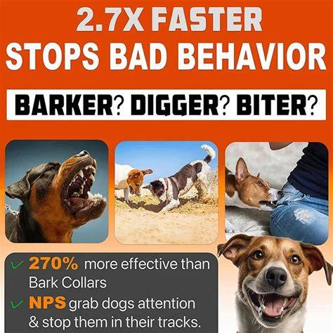 NPS Dog Bark Stopper with Flashlight Feature