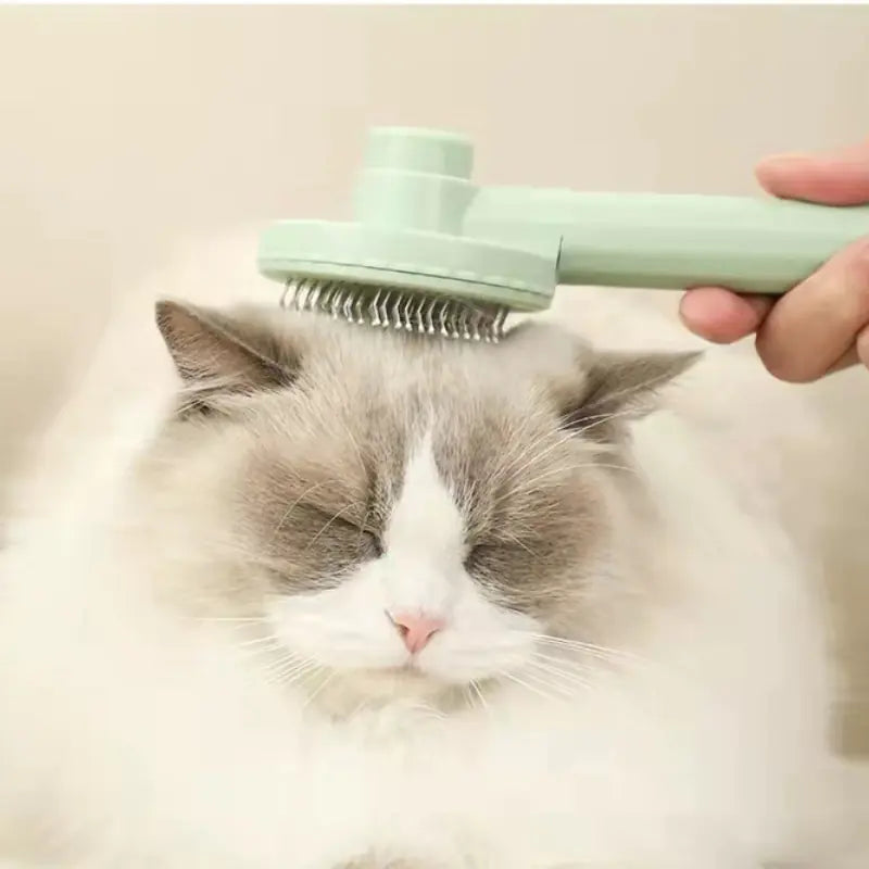 Shedding Slicker Brush for Cats & Dogs