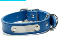 Leather Dog Collar
